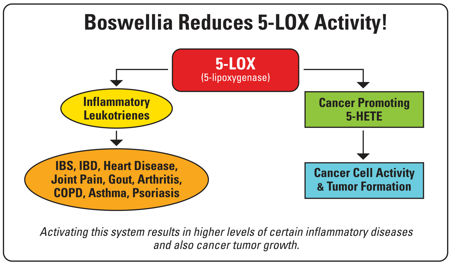 BOSWELLIA AN AMAZING GIFT FOR YOUR PATIENTS' HEALTH InfoMedica USA