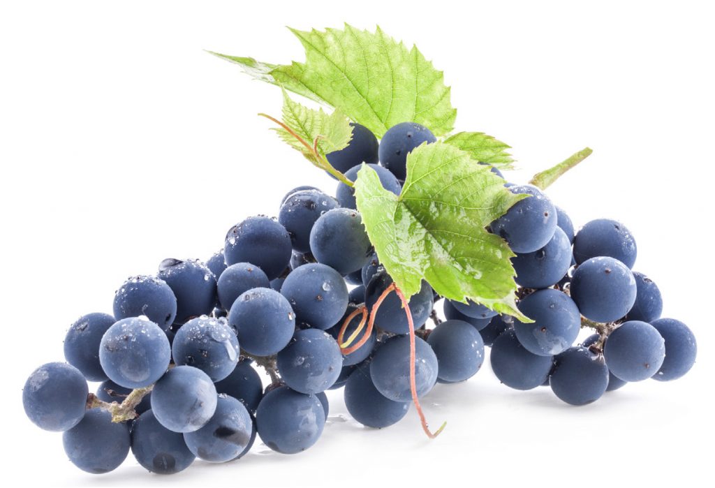 FRENCH OPC GRAPE SEED FOR DIABETES, HEART, CANCER AND MORE | InfoMedica USA