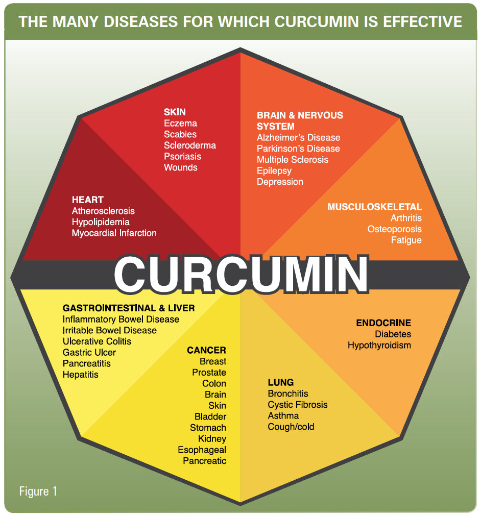 The many diseases for which curcumin is effective